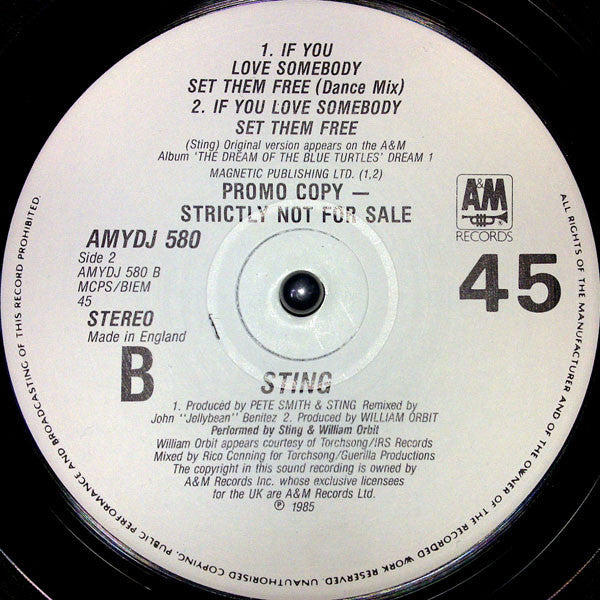Sting : Englishman In New York (12", Promo)