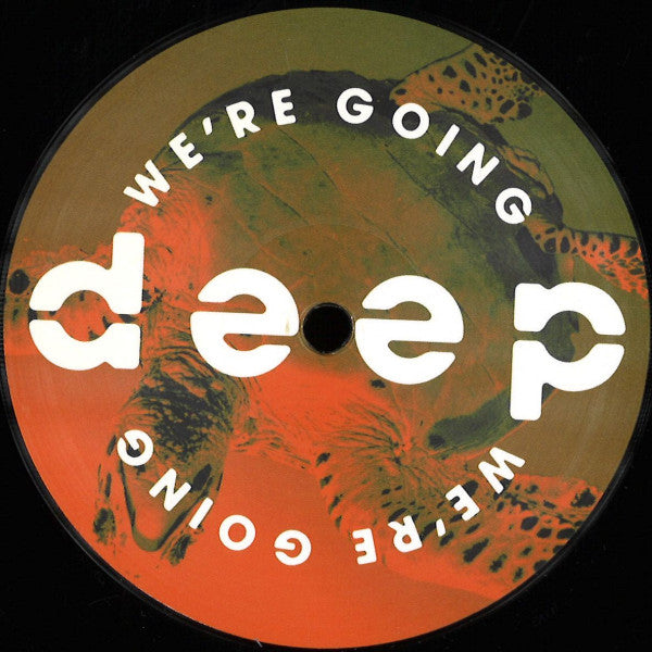Various : Volume 5 (12", EP)