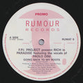 FPI Project Featuring The Vocals Of Paolo Dini : Rich In Paradise "Going Back To My Roots" (12", Maxi, Promo)